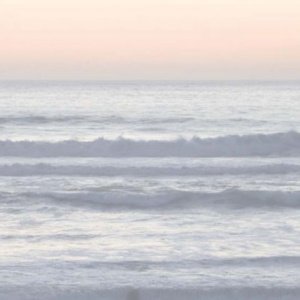 Reference 020a