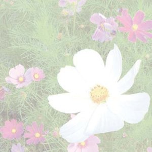 Reference 037b