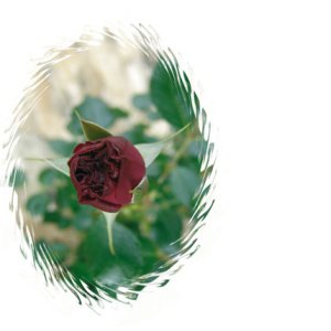Reference 011a
