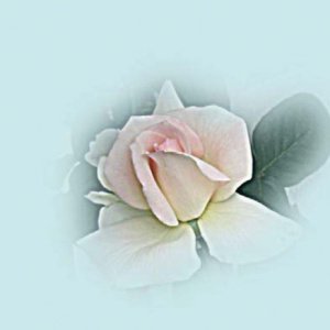 Reference 031a