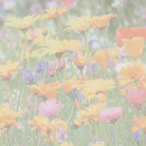 Reference 039b