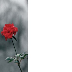 Reference 030b
