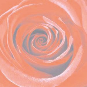 Reference 027a