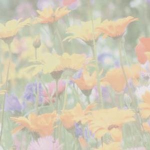 Reference 039a