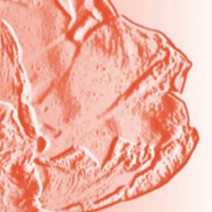 Reference 025a