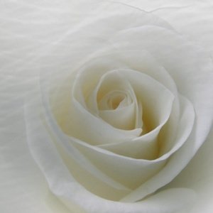Reference 026b